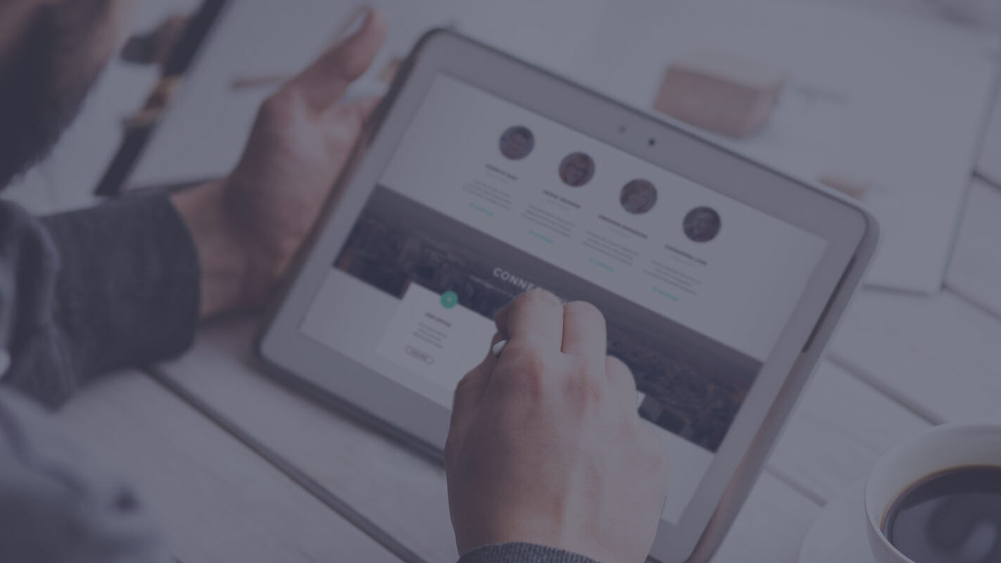 developer wordpress website