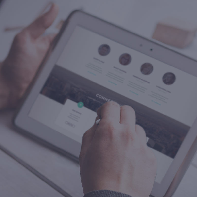 developer wordpress website