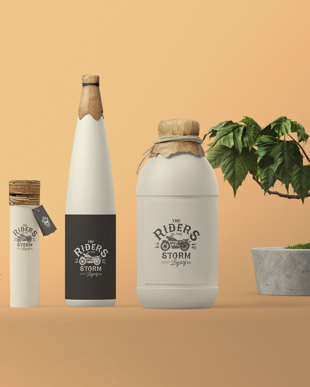 ecommerce wordpress website